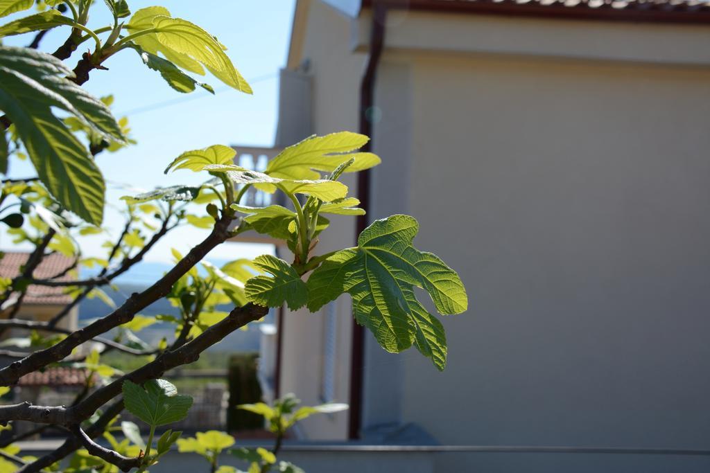 Apartments Dida Moj Šmrika Εξωτερικό φωτογραφία